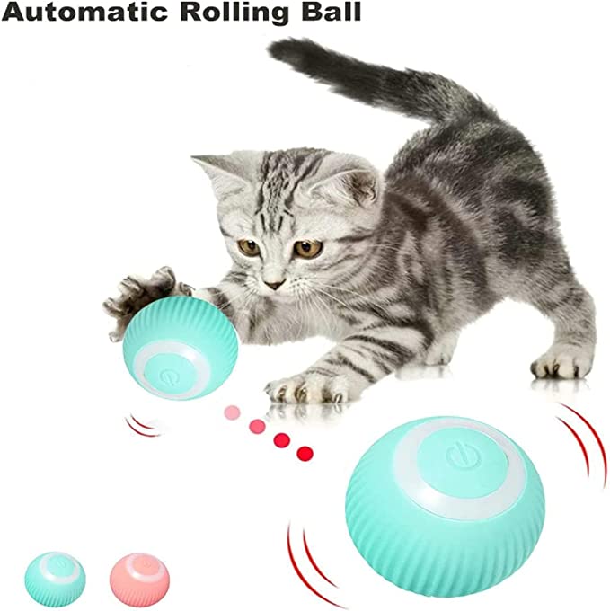 De interactieve kattenbal