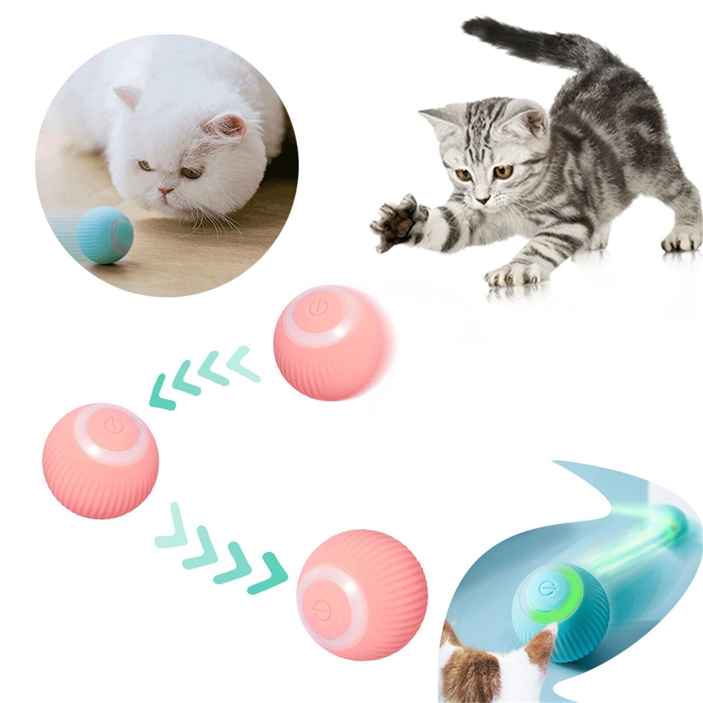 De interactieve kattenbal