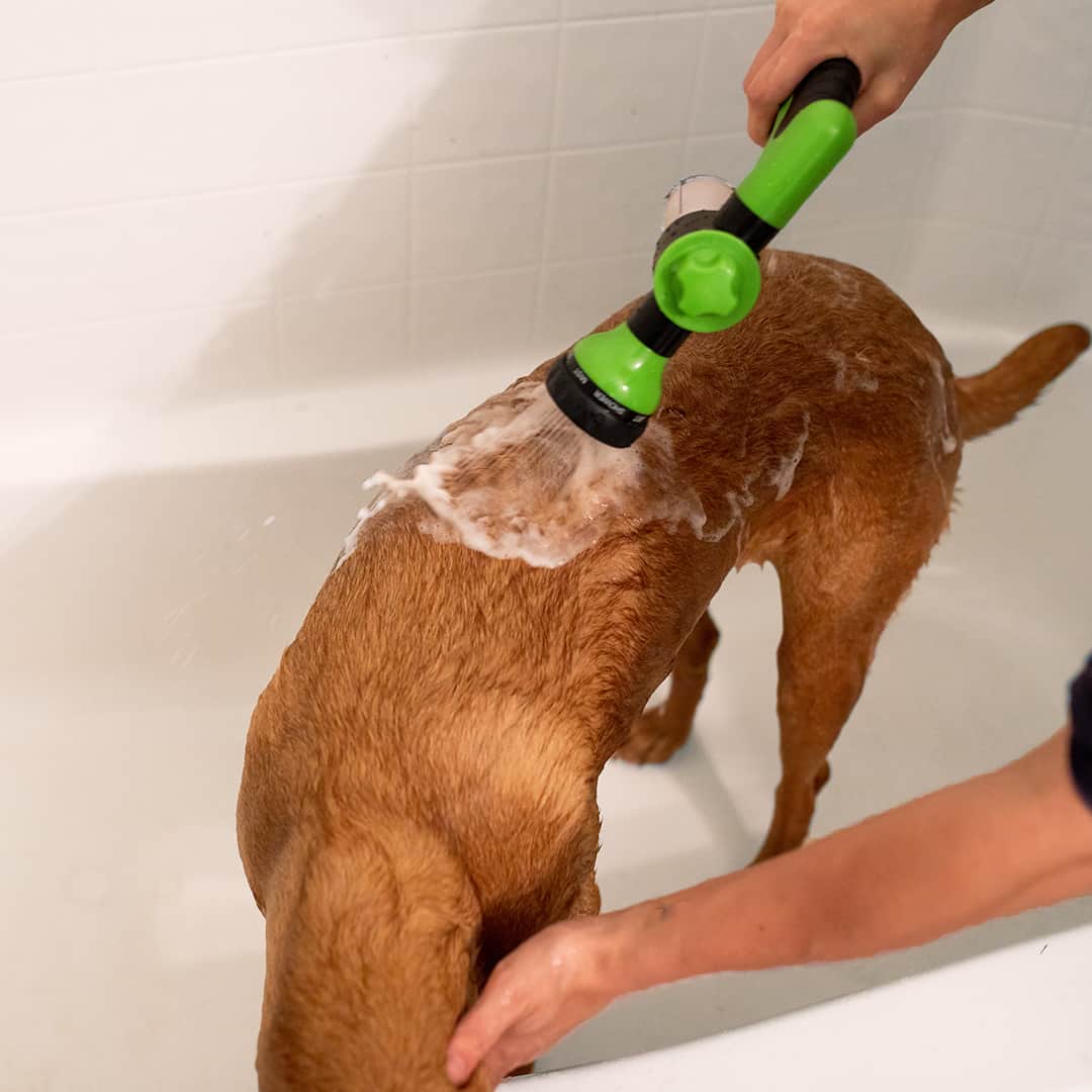 De originele honden wasser