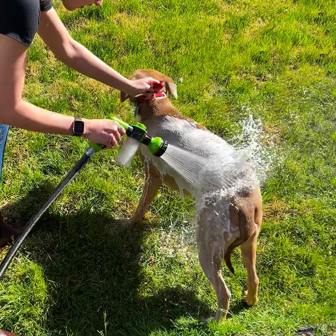 De originele honden wasser