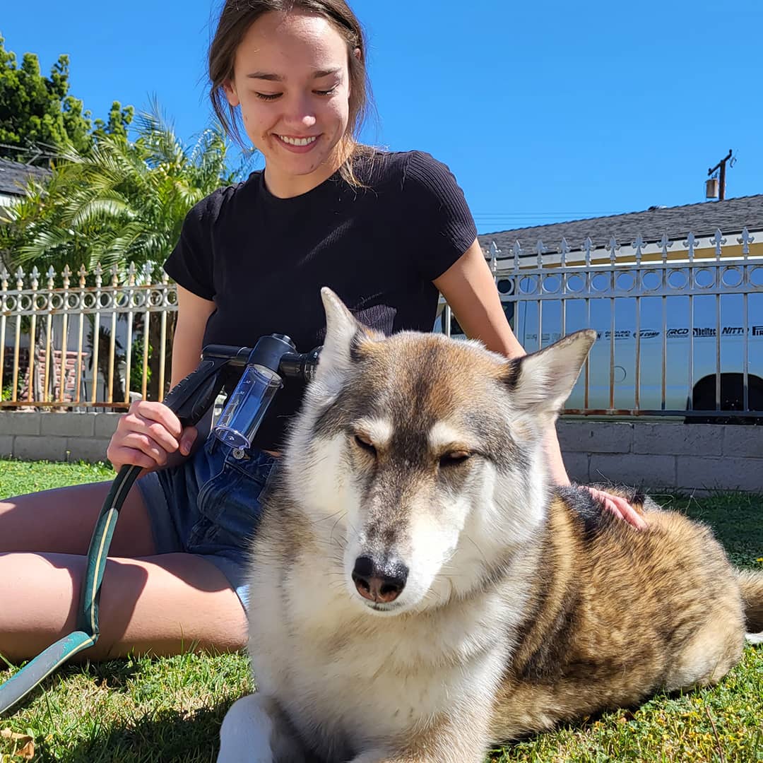 De originele honden wasser